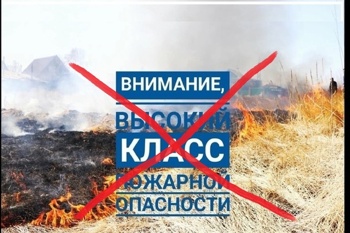Костромским лесам пожары больше не грозят: губернатор Сергей Ситников отменил особый режим