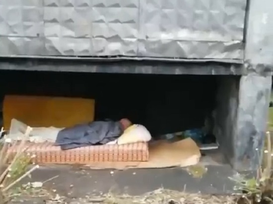 В Рыбинске жители заговорили о необходимости городского приюта для бездомных