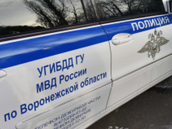 Под Воронежем 28-летний водитель мотоцикла после опрокидывания скончался на месте