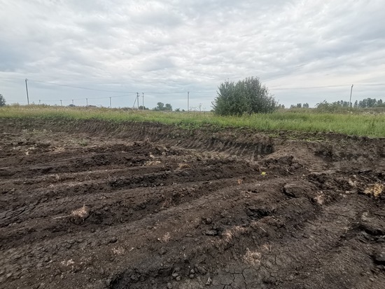 Под Воронежем неизвестные вывезли 1,5 тысячи кубометров плодородного чернозёма