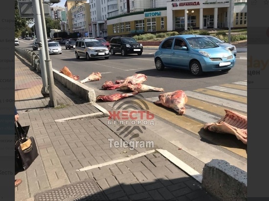 На дороге в Белгороде заметили разбросанные куски мяса