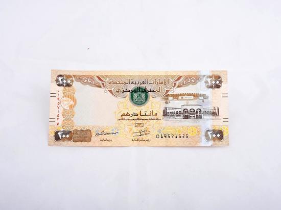 Плюсы и минусы арабской валюты