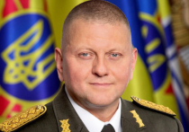 Валерий Залужный, главнокомандующий ВСУ, разразился на днях пространной статьей о российско-украинском конфликте