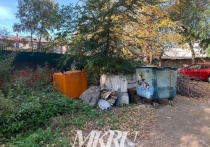 Новый оранжевый контейнер для раздельного мусора перевернули возле дома по адресу: ул