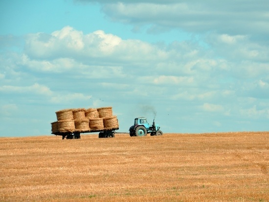 Более 3 млрд рублей поддержки ежегодно получают сельхозпредприятия на Сахалине