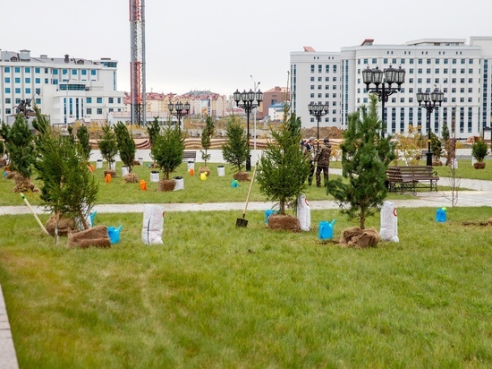 Титовский и Артюхов посадили деревья в парке Победы в Салехарде