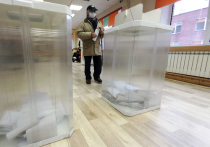 Москвичи успели привыкнуть к трёхдневному голосованию — самые сознательные не откладывают поход на избирательный участок до воскресенья, а исполняют гражданский долг уже в пятницу