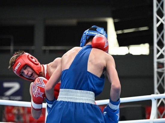 В Краснодаре состоятся заключительные бои международного турнира по боксу