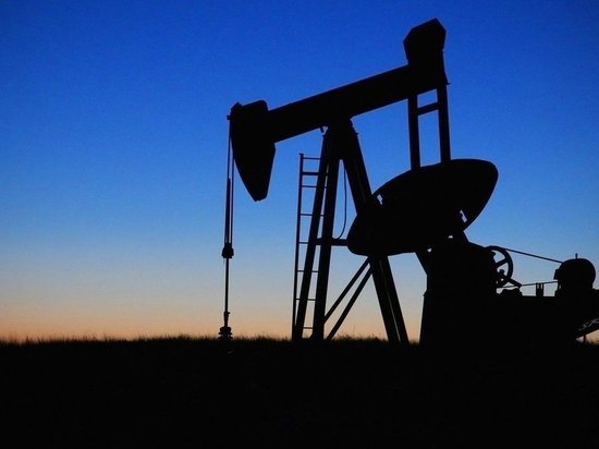 В США предупредили об ответственности за обход потолка цен на российскую нефть