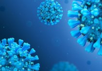 Вирус SARS-CoV-2 до конца года может найти новую мишень и вернуться в животный мир