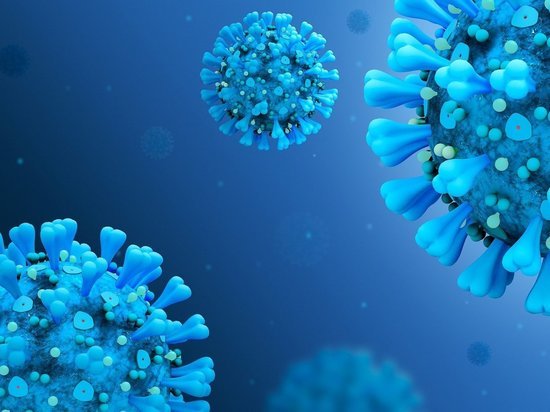 Вирус SARS-CoV-2 может до конца года найти нового "хозяина" в природе