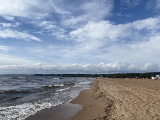 Географ сообщил, что к концу XXI века берег Финского залива в Петербурге может отступить на 200 метров