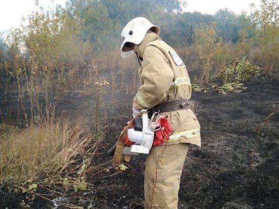 В Курской области пожарные потушили горящую траву на площади 300 кв. метров