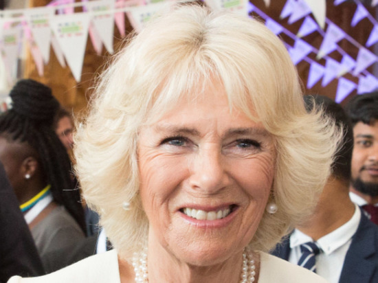 В Великобритании прояснили статус жены Карла III Камиллы