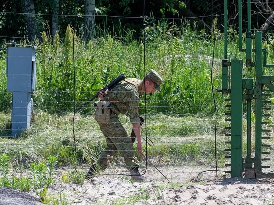 С начала СВО более 8 тыс. мужчин пытались покинуть Украину