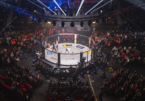 Россиянин Денис Тюлюлин победил американского бойца MMA Джейми Пикетта на турнире Абсолютного бойцовского чемпионата в Лас-Вегасе