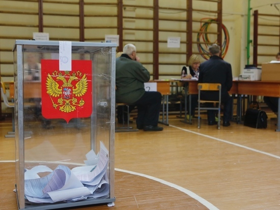 Дополнительные выборы муниципальных депутатов стартовали в Петербурге