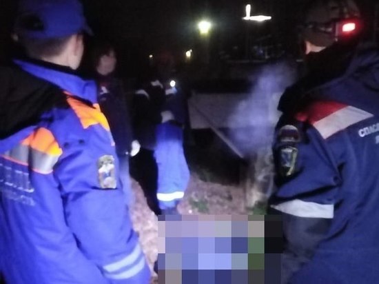 Волонтеры нашли тело пожилого мужчины, пропавшего в лесу в Ленобласти
