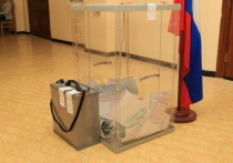 По состоянию на 10 часов утра явка на муниципальных выборах в Алтайском крае составила 7,97 процента