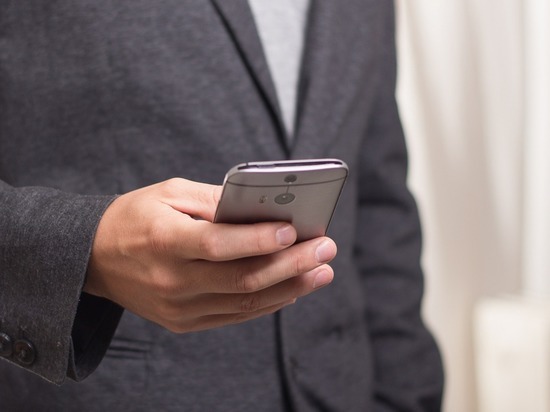 Житель Вязьмы настроил телефон соседу на срок до 6 лет