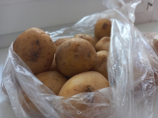 В ДНР доставлены овощи из Херсона