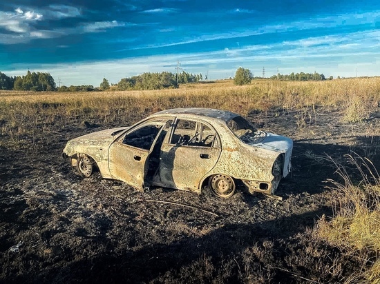 В Хиславическом районе в поле сгорел автомобиль