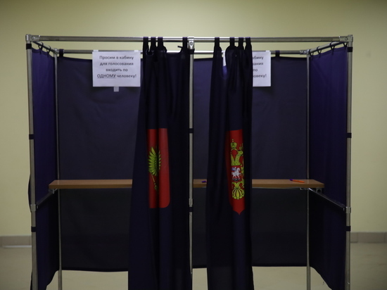 Петр I посетил выборы в Новгородской области