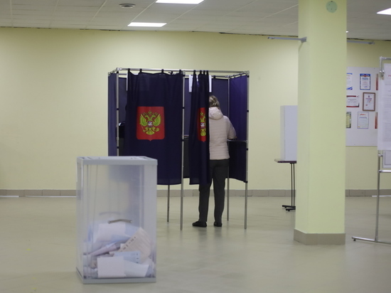 Явка на выборах губернатора Новгородской области на 12:00 11 сентября составила 22,92 %