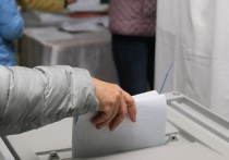 В Алтайском крае в 20 часов, 11 сентября, закрылись избирательные участки.