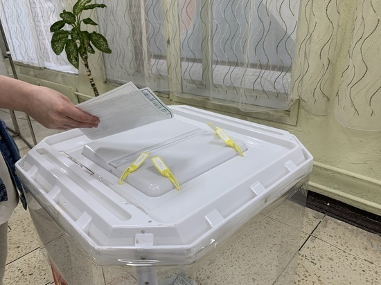 Явка на выборах главы Тамбовской области составила 55,51%