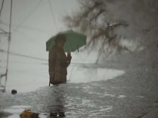 В Волгоградской области в Камышине пройдут дожди