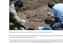 В отдаленной пещере на Борнео, в Индонезии, археологи сделали открытие, которое переворачивает наши представления о каменном веке: человек с ампутированными конечностями, живший 31 000 лет назад