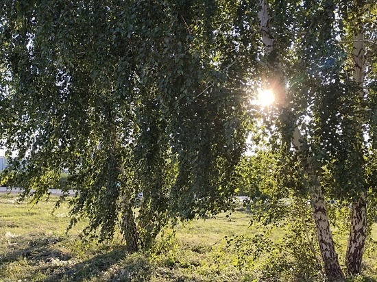 Стала известна дата прихода в Омск бабьего лето