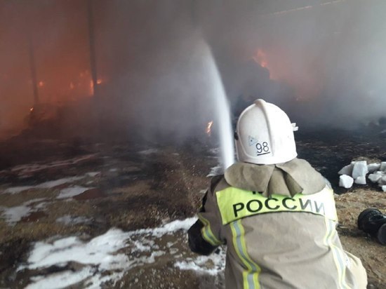 Утром в Лабинском районе Кубани загорелось сено на площади 4 000 квадратных метров