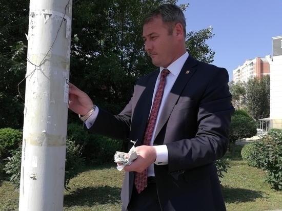 Сапожников: кандидаты в депутаты должны очистить Читу от своих портретов