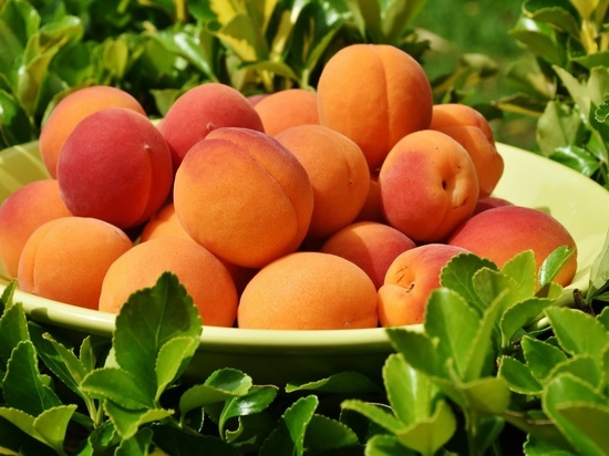 Более 170 кг зараженных персиков и нектаринов привезли в Мурманск и Апатиты