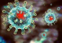 По информаци Минздрава ДНР, с 6 по 12 сентября на территории республики выявлено 363 случая заболевания коронавирусной инфекцией