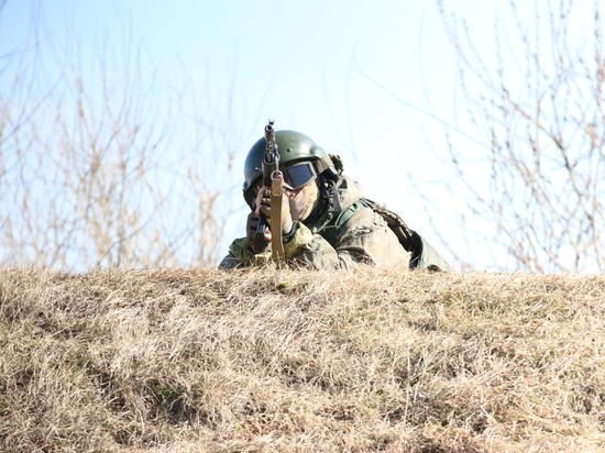 Российские войска на Николаево-Криворожском направлении уничтожили до 250 боевиков ВСУ