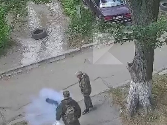 На улице Зубковой в Рязани прохожий выстрелил в собаку на глазах хозяина