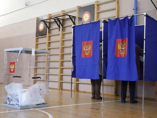 В Горизбиркоме оценили результаты прошедших в Петербурге довыборов