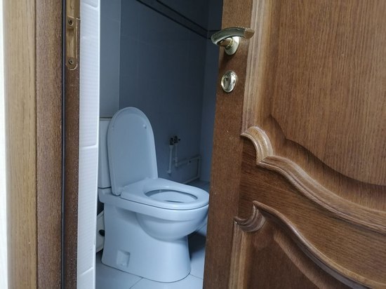 Новый модульный туалет в Рогожинском парке Тулы обойдется в 260 000 рублей