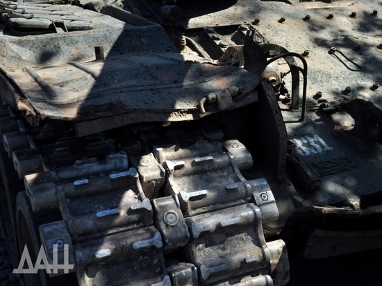 ЦИПсО подвели пшеничные поля и трава