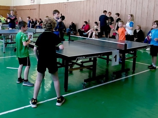 Более 10 видов спорта могут выбрать дети в спортшколе «Зубрёнок» в Серпухове