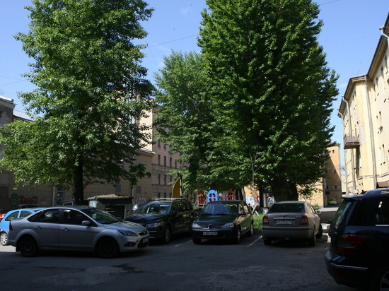 ГАТИ назвала районы Петербурга, где чаще всего нарушают правила парковки во дворах