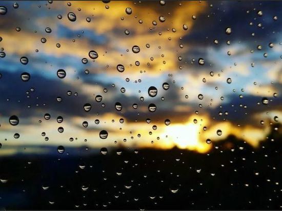 Непрерывная череда дождливых дней на Орловщине продлится до пятницы