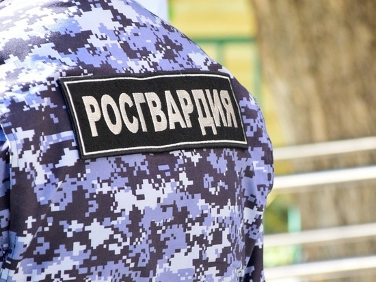 Орловские силовики задержали 17 нарушителей и изъяли 9 единиц оружия