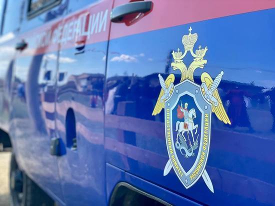 Убийцу двух людей в наркодиспансере могут отправить на принудительное лечение