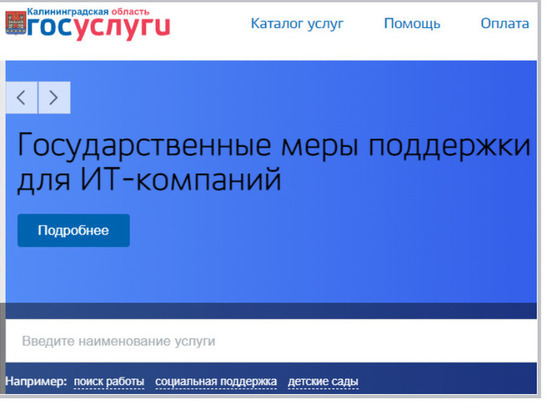 Власти Калининградской области представили региональный портал госуслуг