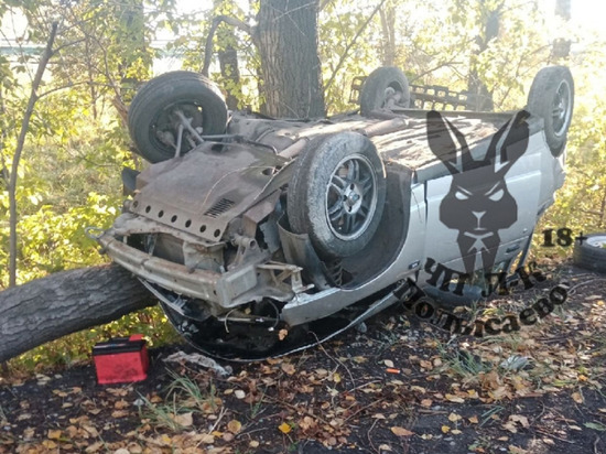 Автомобиль снес дерево в результате жесткого смертельного ДТП на кузбасской трассе