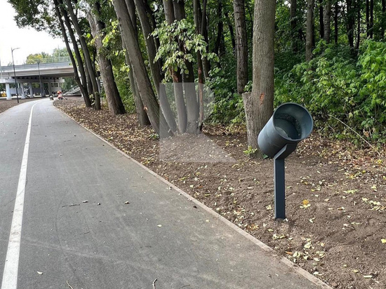 В Лесопарке Рязани установили урны для велосипедистов